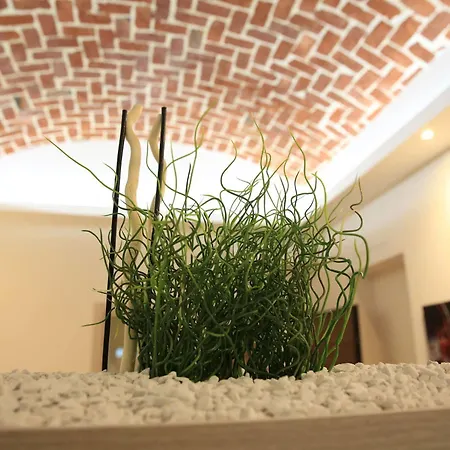 Torino Suite Daire Torino